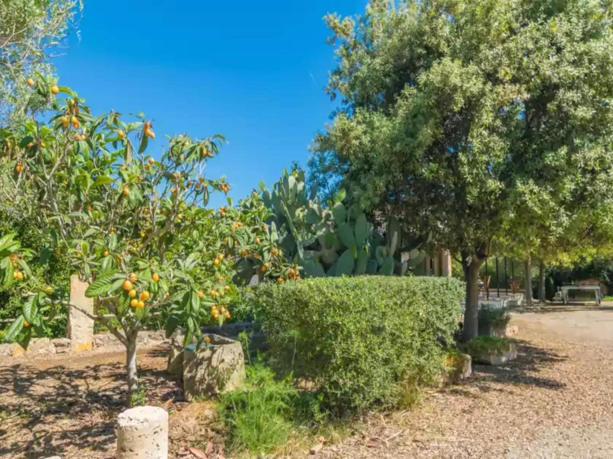 Mostatxet With Private Poolfree Wifi Can Picafort (Mallorca)